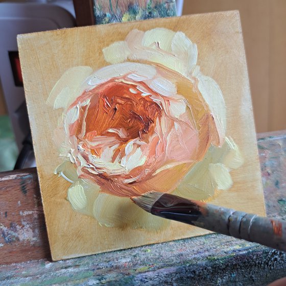 Rose painting