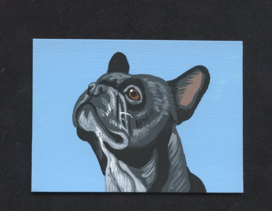 ACEO ATC Original Miniature Painting Black French Bulldog Pet Dog Art-Carla Smale