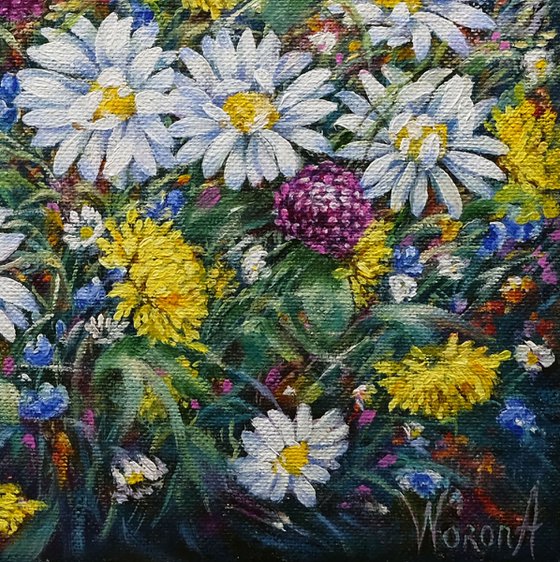 Daisies and Wildflowers.
