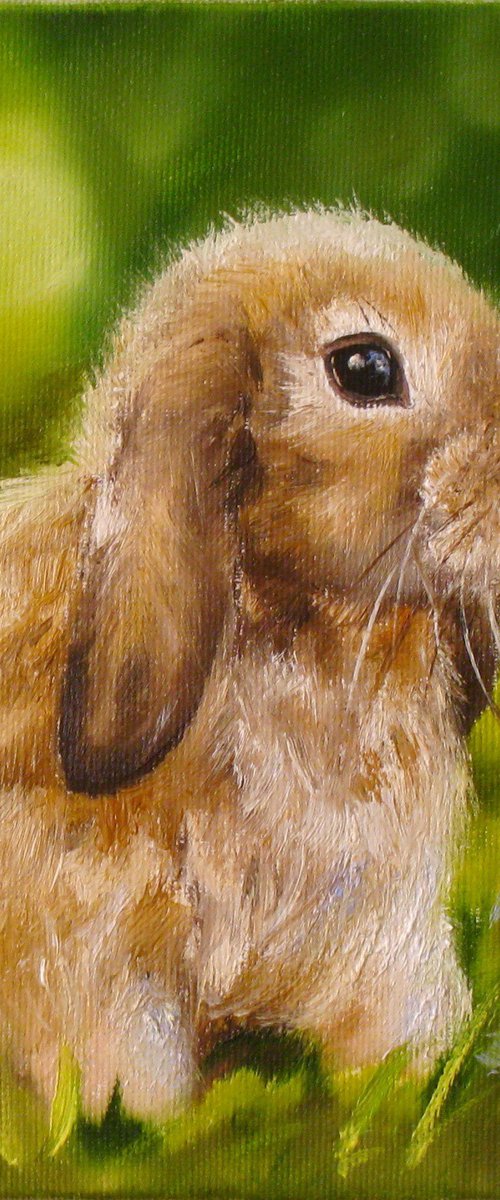 Cute Rabbit by Natalia Shaykina