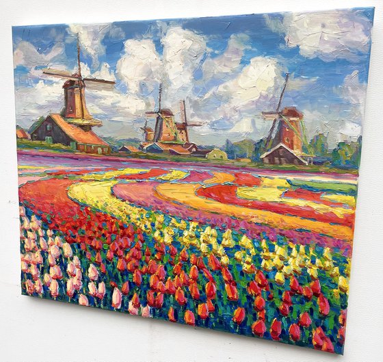 Field with tulips