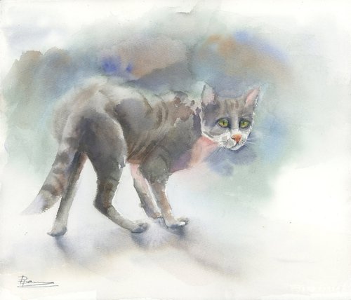 Cat by Olga Shefranov (Tchefranov)