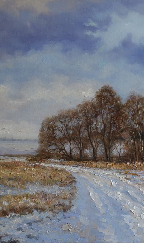 Winter road by Eduard Panov