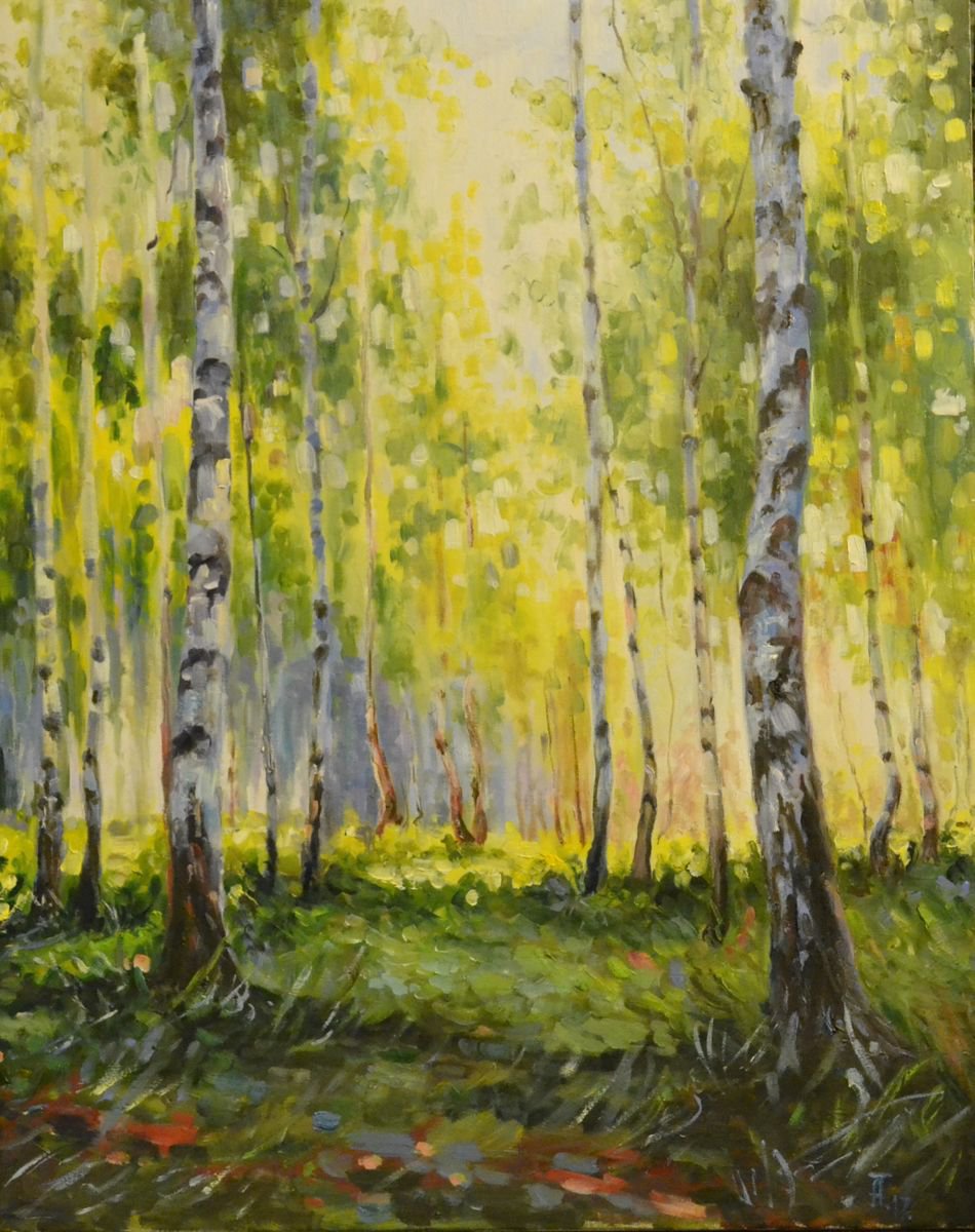 Birch Grove by Tatyana Ambre
