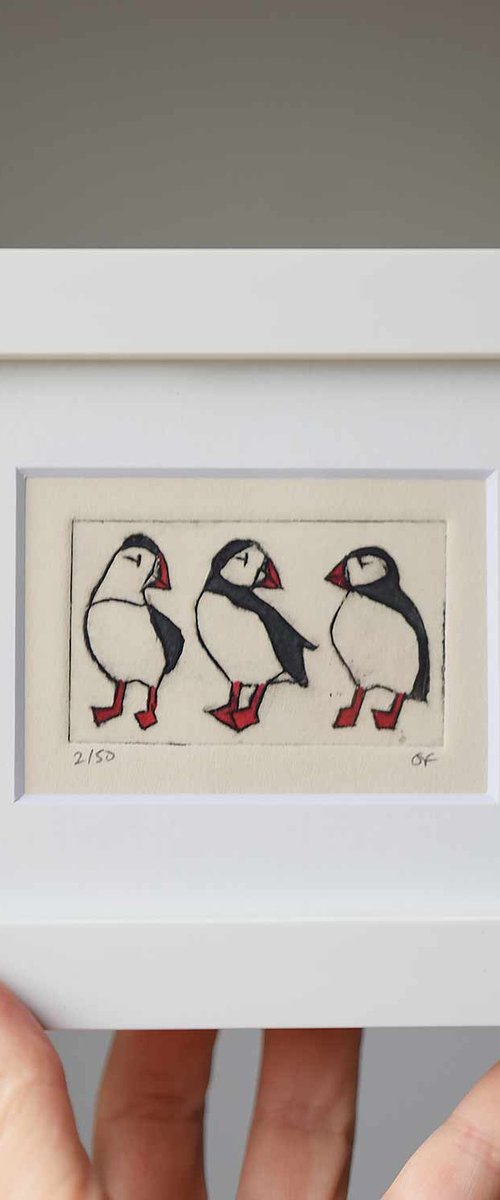 Small framed three puffins by Sally Fisher
