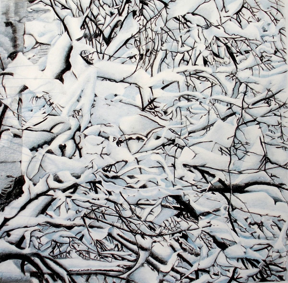 SNOWY BRANCHES by Nives Palmi?