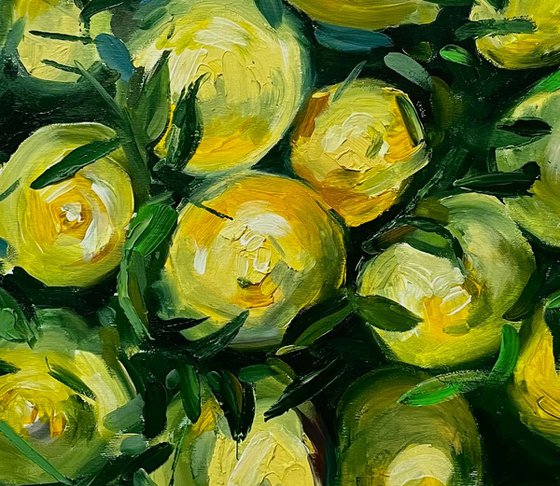 Lemon Tree