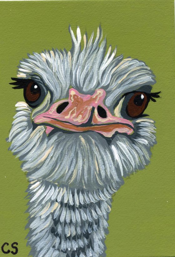 ACEO ATC Original Miniature Painting Ostrich Bird Wildlife Art-Carla Smale