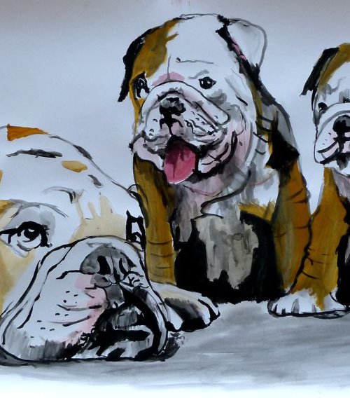 bulldogs by Soso Kumsiashvili