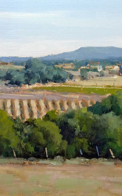 Vineyards by Pascal Giroud