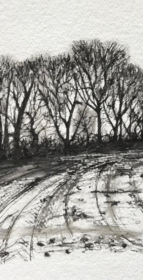 Winter Trees in Pen and Ink - Flitcham Norfolk Landscape by Catherine Winget