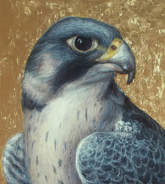 "Falcon".