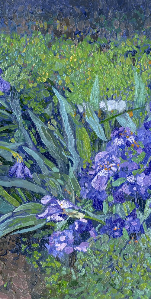 Irises by Simon Kozhin