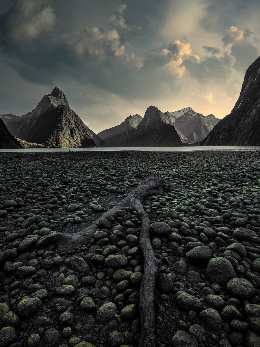 Photorealistic Landscape Photograph By Nick Psomiadis, 35 X 47", Serenity At Milford Sound, Original Artwork
