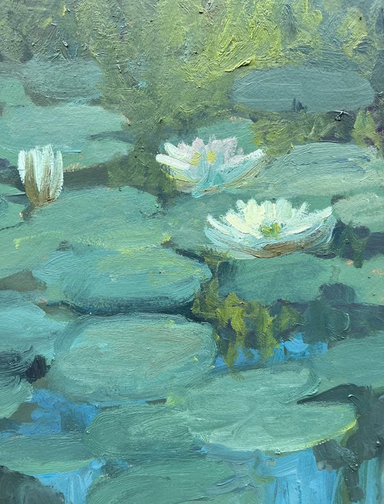Water Lilies I