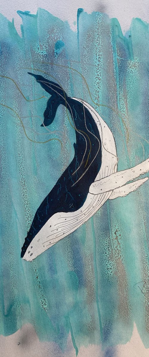 Diving Whale by Ruth Searle