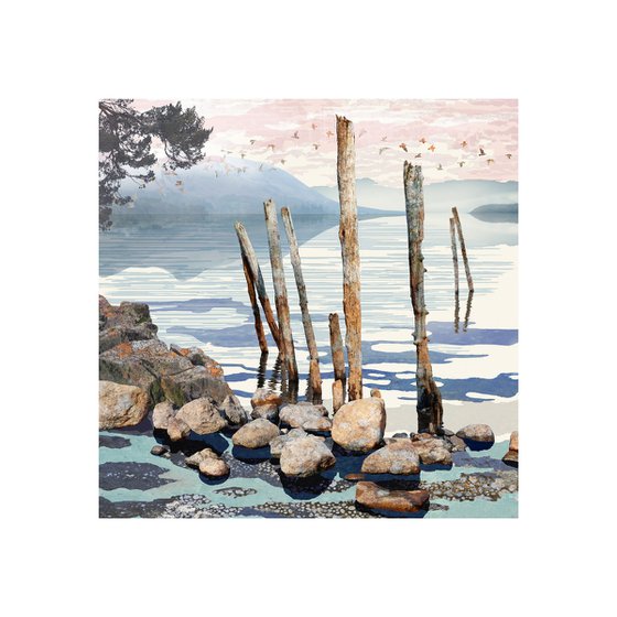 The Water's Edge