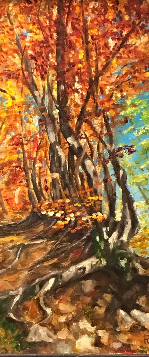 Autumn In Montenegro by Marina Deryagina