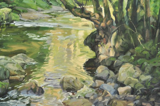Forest river