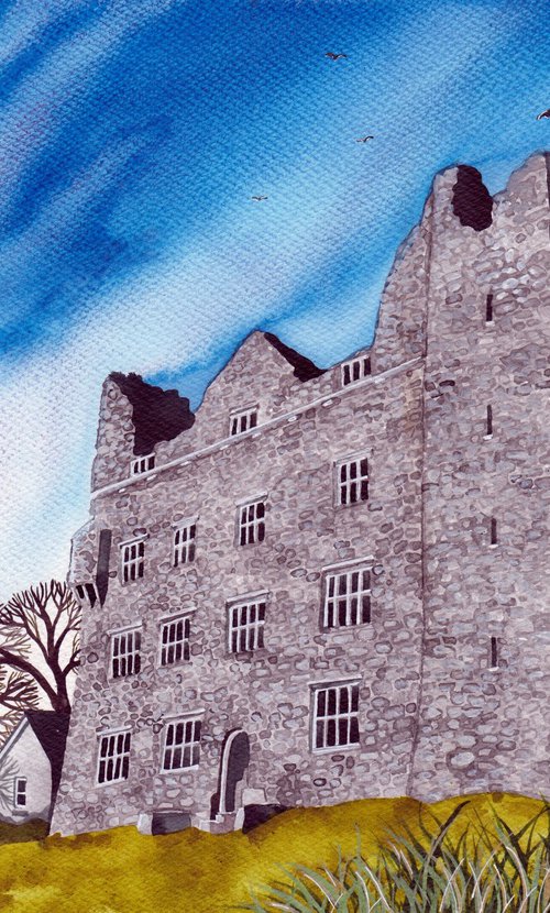 Leamaneh Castle, County Clare by Terri Smith