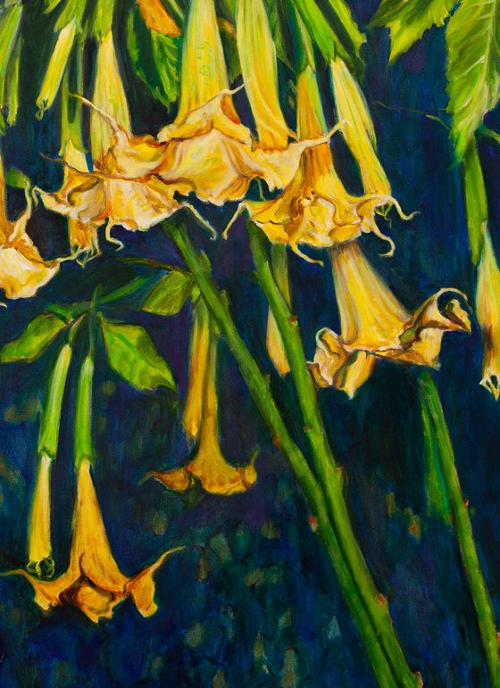 Angels Trumpets II