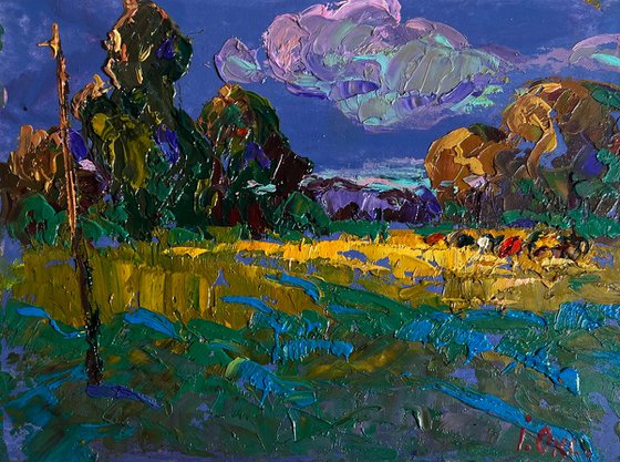 Evening rays of the sun