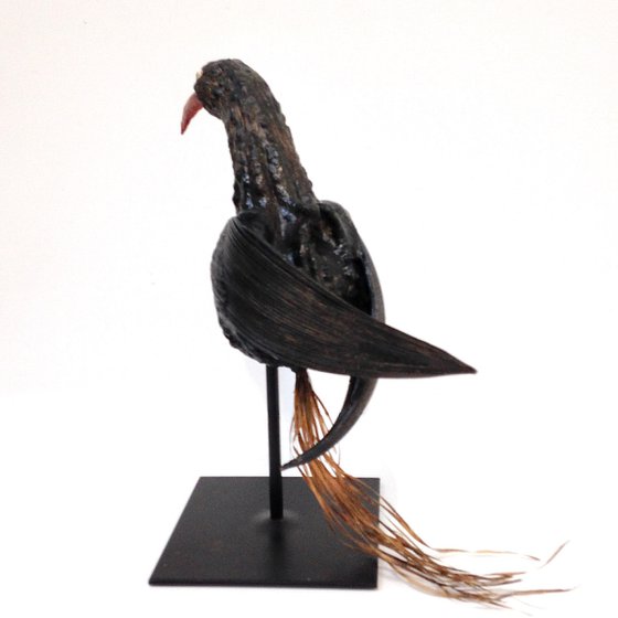 Black bird (Oiseau noir)