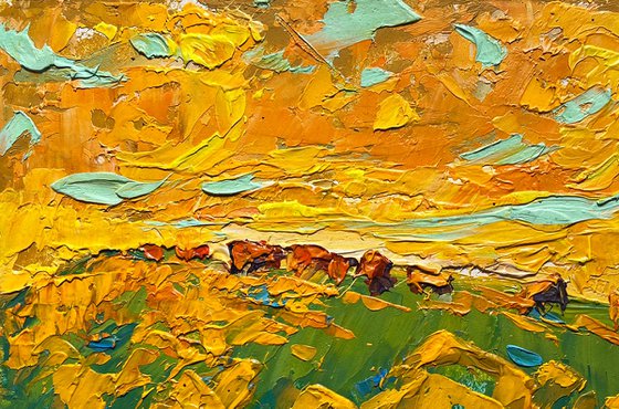 Yellow sunset in the field