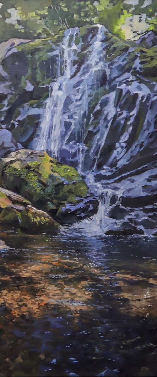 Dark Hollow Falls by Elena Nabokova