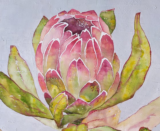 Protea