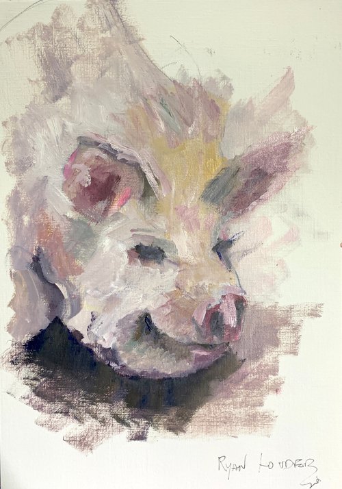 Pig In Mud by Ryan  Louder