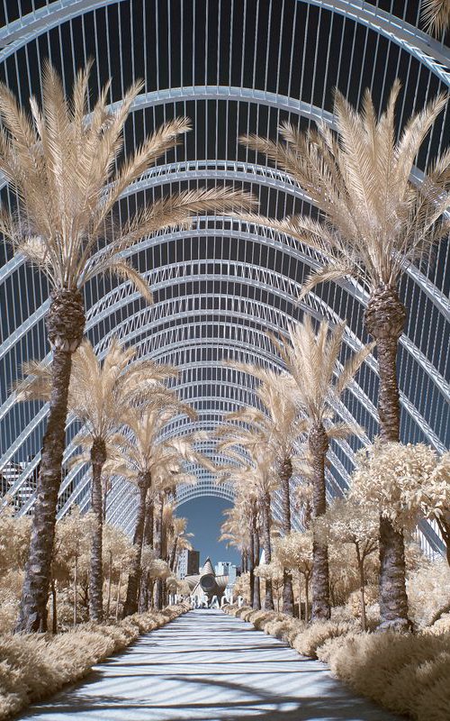 L'Umbracle Valencia. by Ed Watts