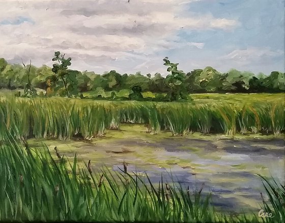"Wetlands" - Landscape - Lake