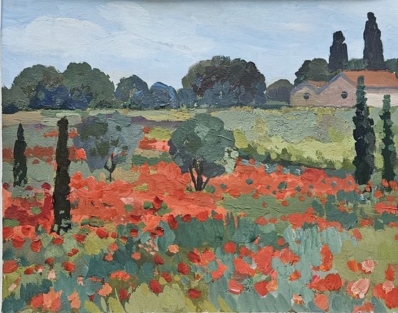 Poppies of Languedoc. French Landscape