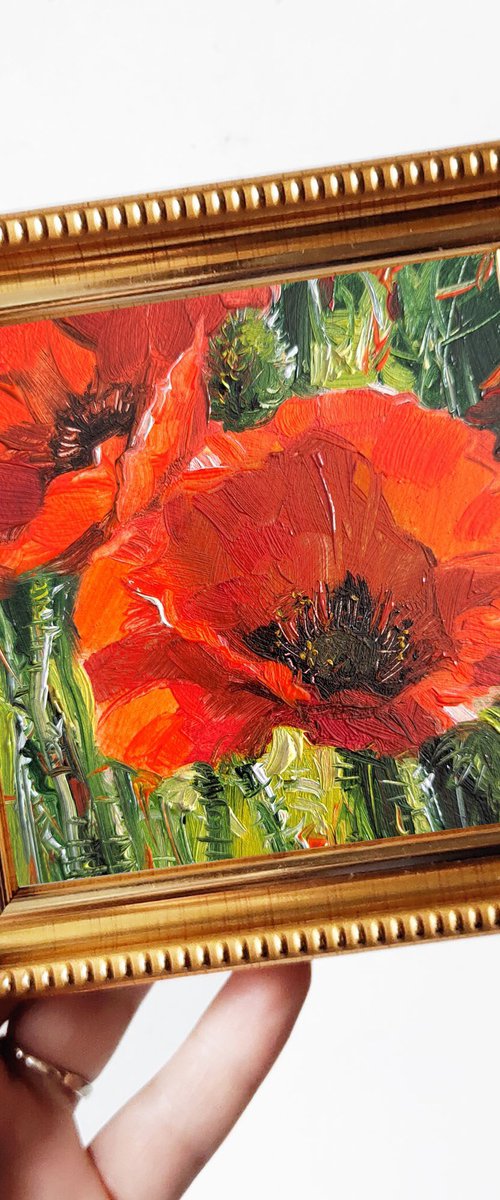 Poppy small painting by Nataly Derevyanko