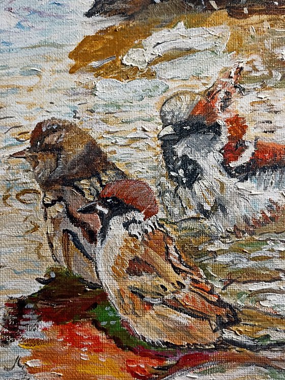 Birds bath