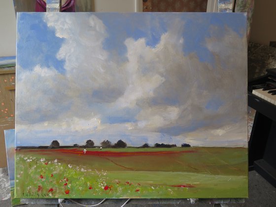 Poppy Field,