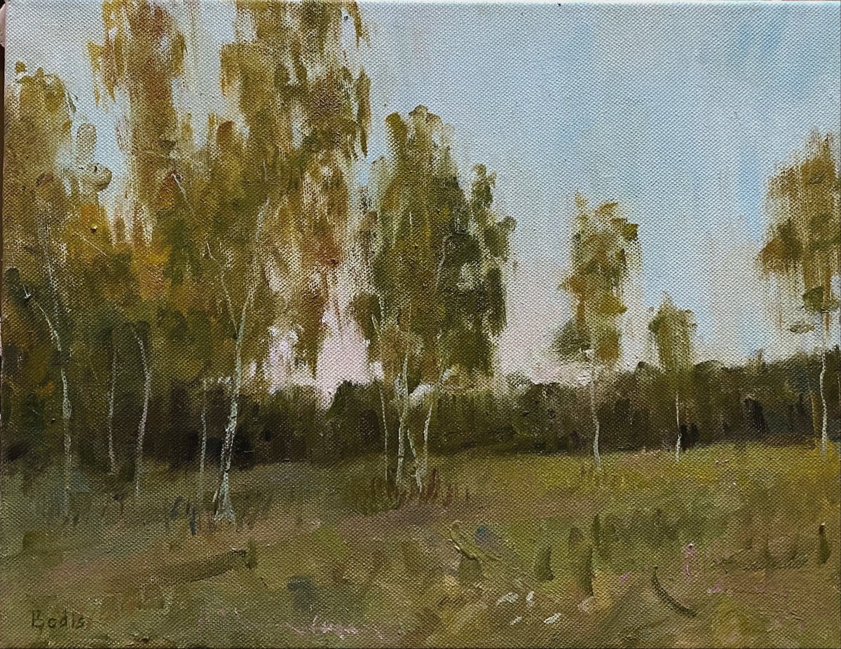 Impressionistic Landscape Oil Painting By Bohdan Dobrivskyi, 18 X 14, Summer Evening, Original Artwork