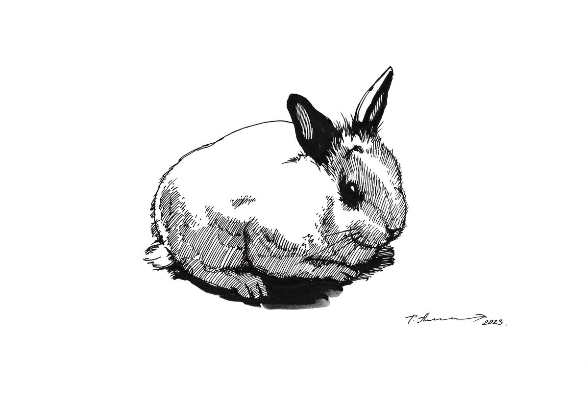 White Rabbit with Black Ears by Tatiana Alekseeva