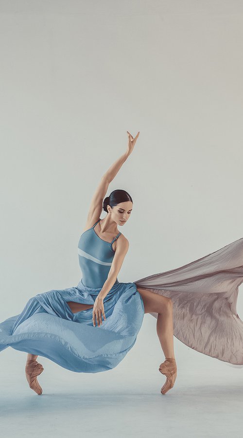 Prima ballerina by Dan Hecho