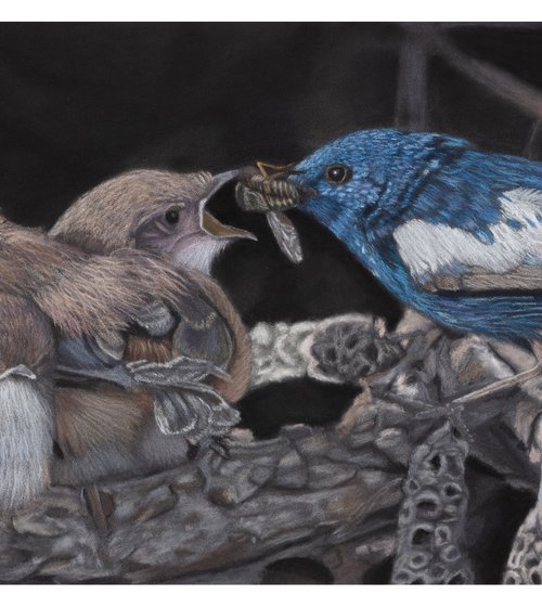 Tastes Like Chicken (pastel-framed) by Gary Thomas