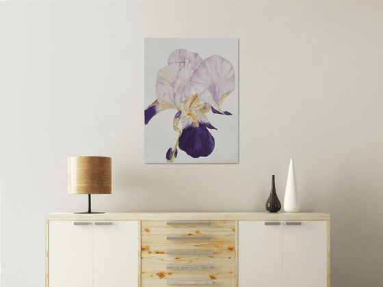Soft Iris