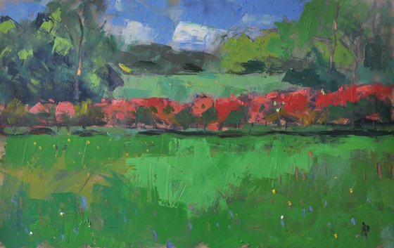'Red Bush'