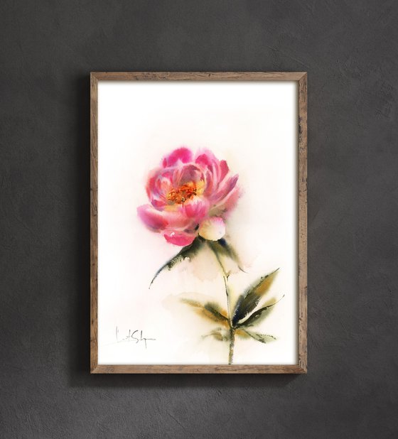 Pink Peony