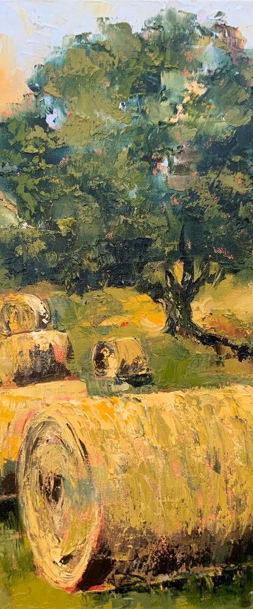 Harvest Light in Yorkshire by Alexandra Jagoda (Ovcharenko)