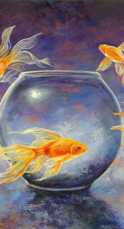 Goldfish XXX by Daniel Loveday