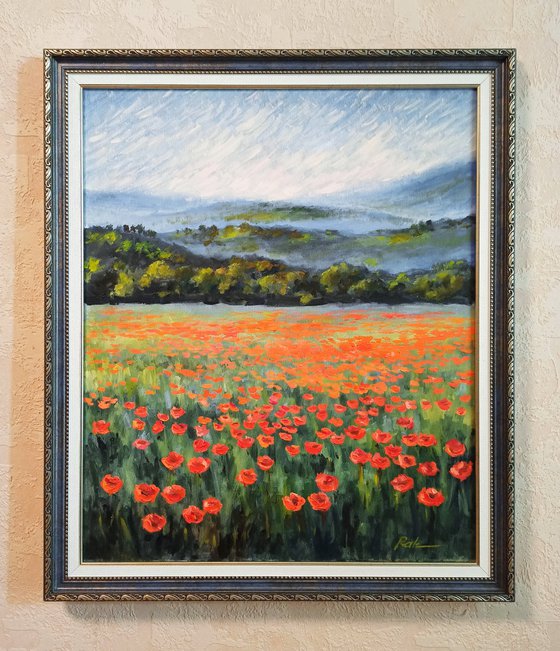 Poppy field in the mountains