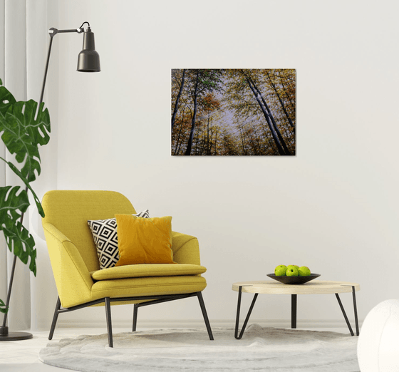 "Autumn Light"