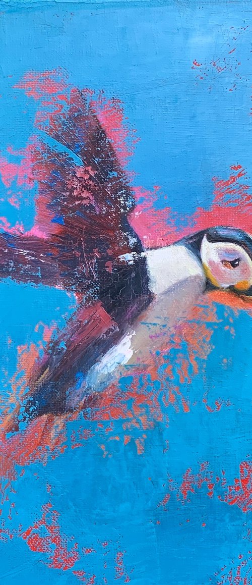 Flight of the Puffin by Laure Bury