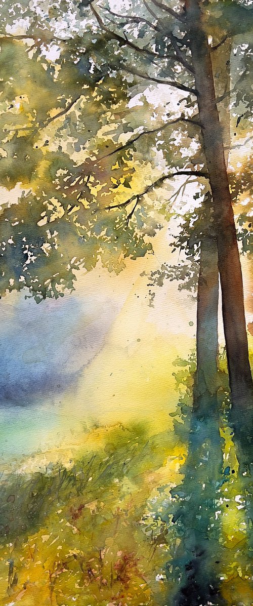 Golden Hour Shadows by Tetiana Koda